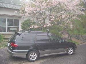 �ڗ������ƶ���f�B�i