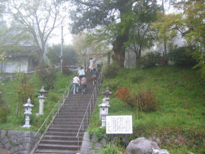 �ڗ�����