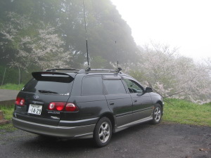 �ڗ������̃J�m�f�B�i